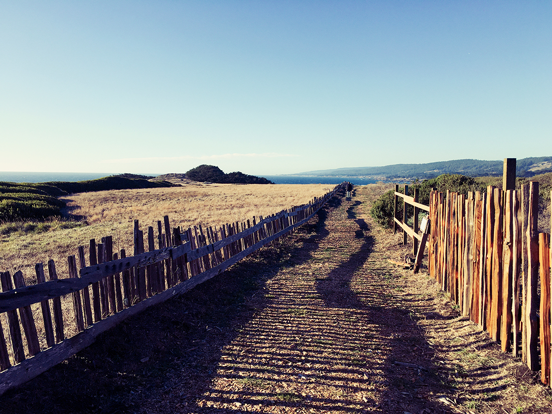 sea_ranch_fence